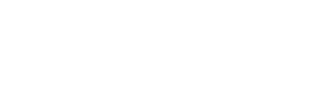 Cardona Marine Surveys Logo